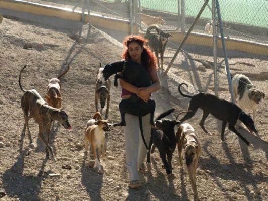 10703801_534811319953689_2857403043472405506_n