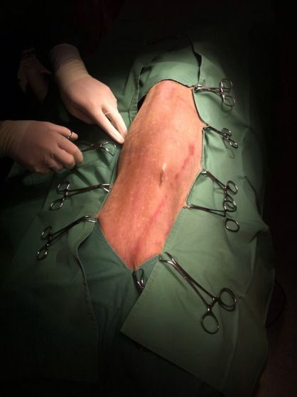 10708139_942194055796231_1357294004_n