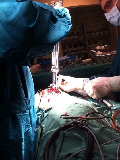 10716206_942194285796208_1648090695_n