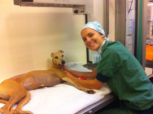 1513688_10201903199621041_7948088697982308665_n