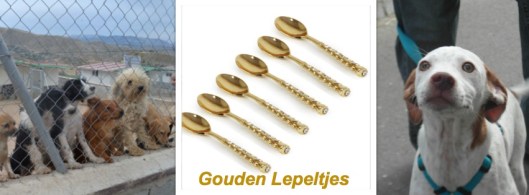 Gouden lepeltjes