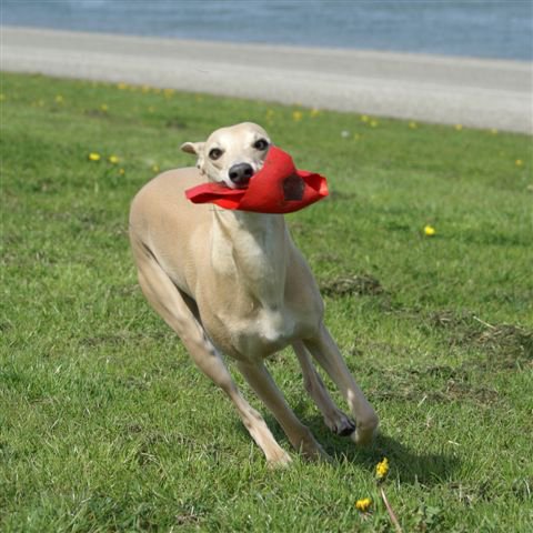 148149_1341625400109_2787011_n