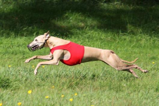 246609_4180434528563_1910886658_n