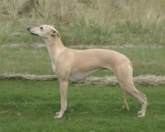 74067_1341597959423_2838230_n