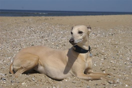 74103_1341652000774_4236325_n