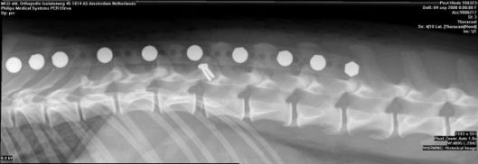 Post Hinde_Se4_Im001