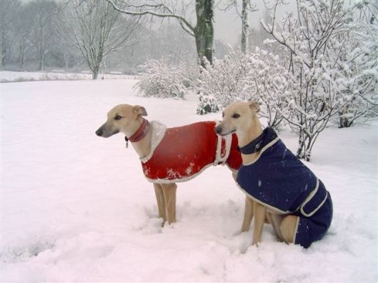 Jewel Chloe maart 2005