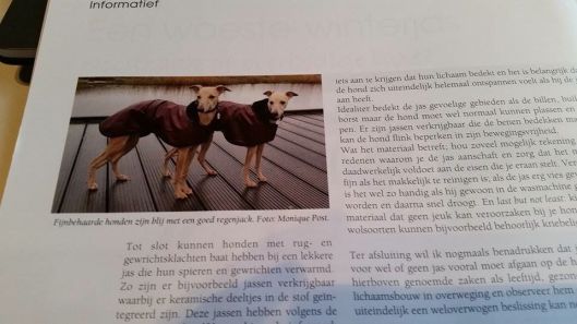 10904920_731113546984470_321686313_n