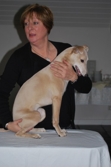 2015-f-pups-6-mnd-016