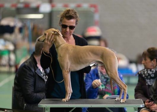 11012623_952482074777146_1595844877157655781_n