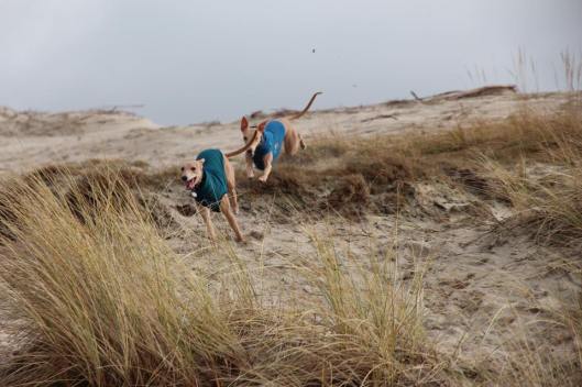 10277031_10205843978798907_7846636928730430014_n