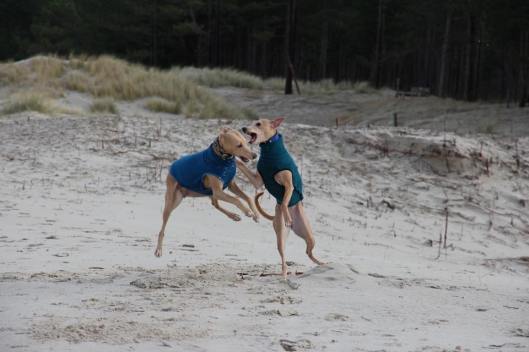 10352288_10205843978198892_1495348246832288430_n