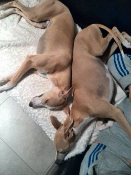 10728978_10152705209875999_1808359295_n