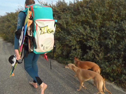 10928159_347745305426792_1333347866_n