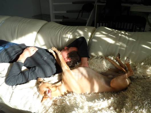 11005719_364118893789433_947932264_n