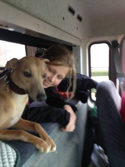 11080871_444517689057083_6393218623833452507_n