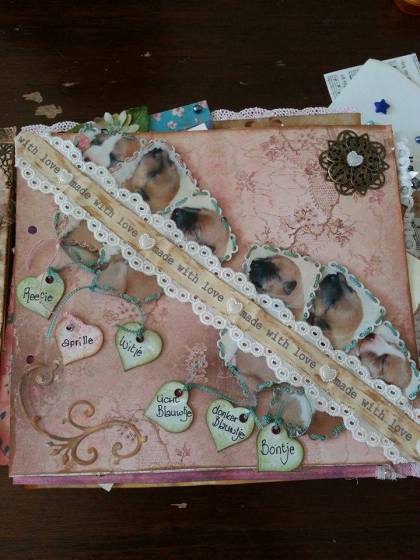 11092565_429032140601929_71630417_n