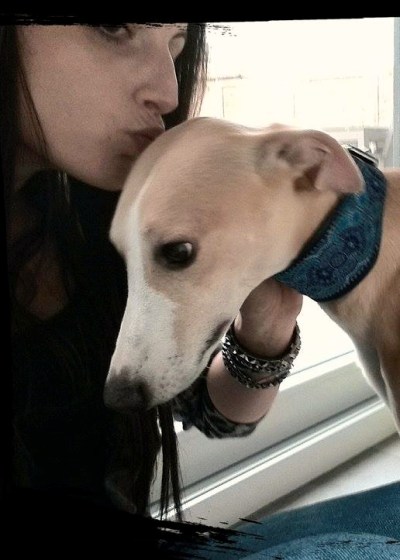 11092701_10153089083310999_2067219167_n