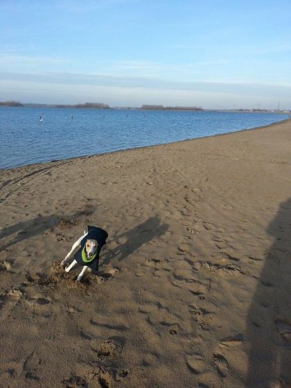 11131832_429024473936029_1563249160_n