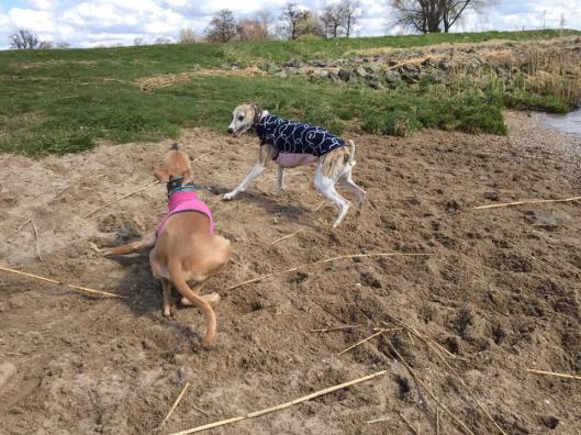 22282_643972049067657_4387459124577659037_n