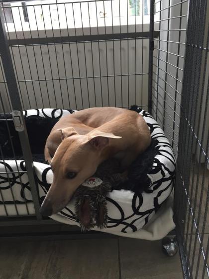 63716_644411979023664_5491194774049263853_n