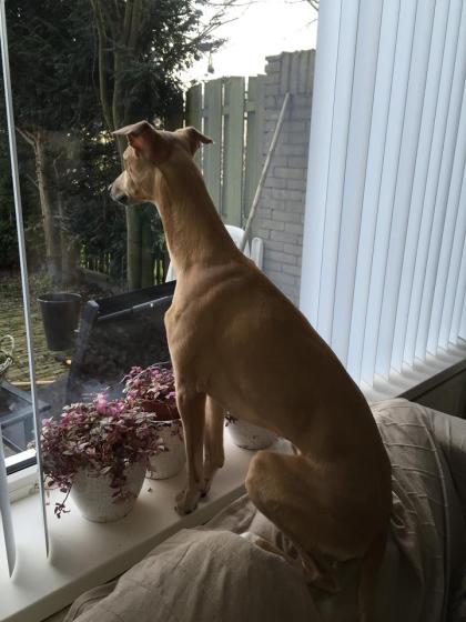 983868_628468050618057_7274291628946580903_n