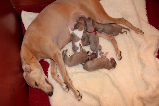 img_7778-e1396867763524