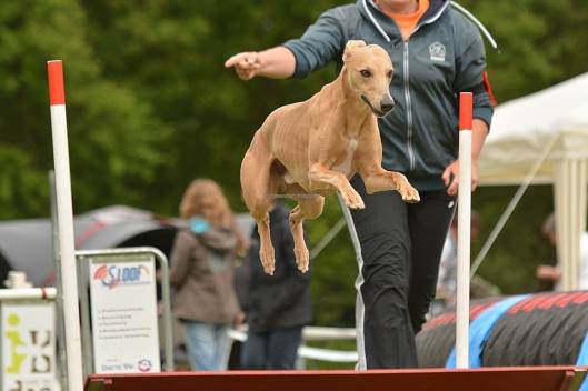 10930949_390520277797989_3627415562846788186_n