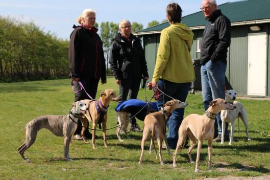 11009148_1001484556543564_245296062050718957_n