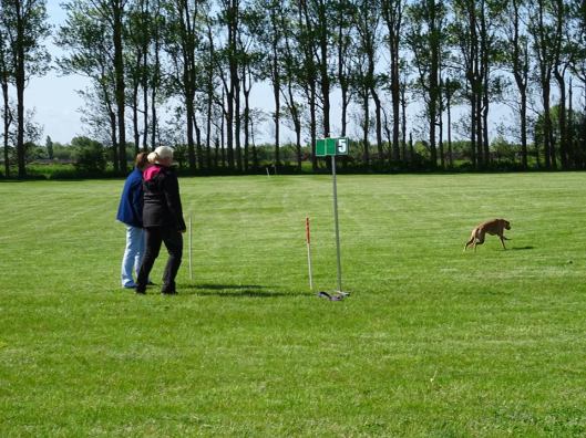 11038724_830436757004348_8900087592172909289_n