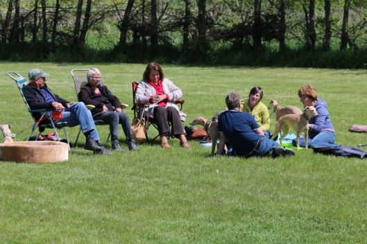 11231750_1001484963210190_729163503097213261_n