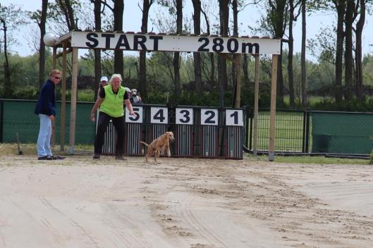 13275_10206654530102183_8644715542419556690_n