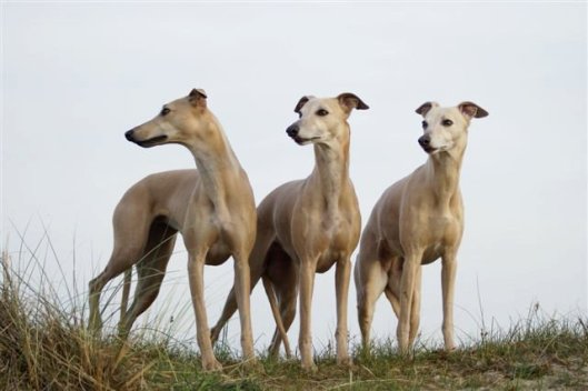 76022_1346753848317_5068148_n