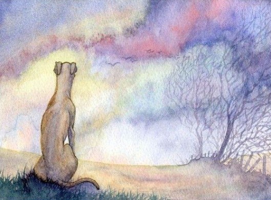 1959421_900097303340057_4038003669764222221_n