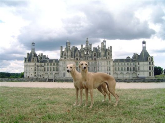 72196_1341639000449_2823232_n