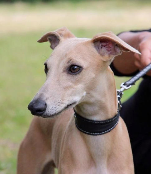 10387459_10204620422690769_4237276977625026189_n