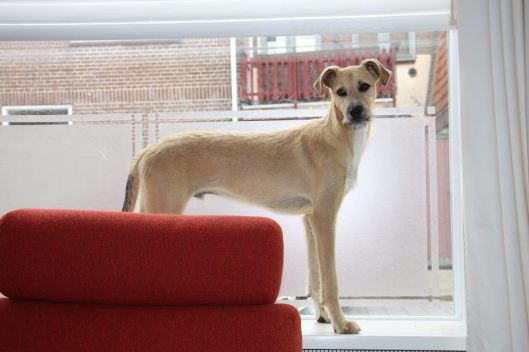 11917750_10203703347183605_6663091595856542378_n