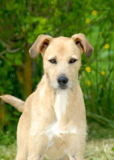 11988676_10203703331503213_1911501184839881518_n