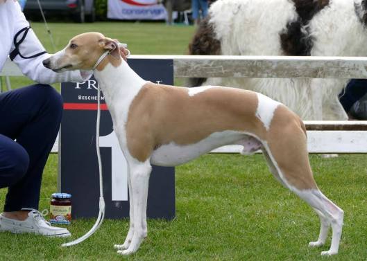 12140820_10203852097342266_3575213505476148381_n