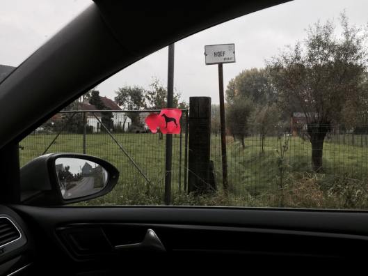 12170512_10153339033538882_620163983_n