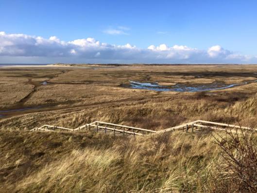 12376308_10153621594943882_8812098182474054794_n