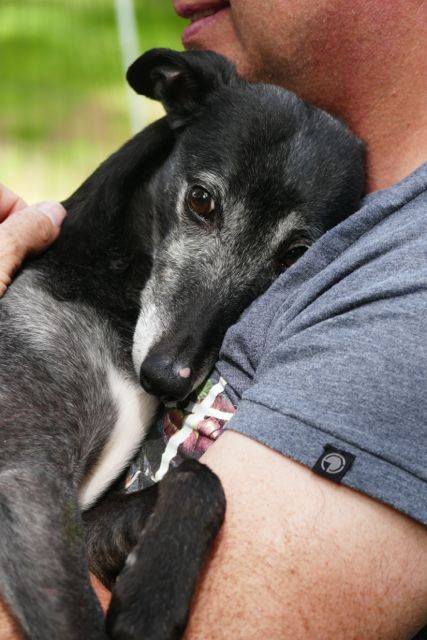 13600241_10205308001738966_6828650270824422358_n