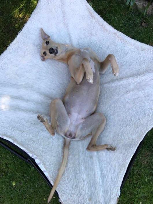 18944766_10213115199094870_838575484_n