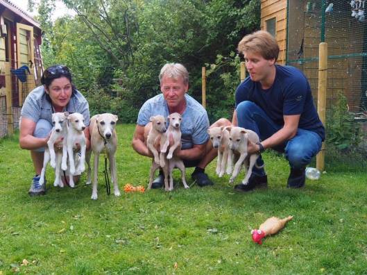 Niccolo met pups