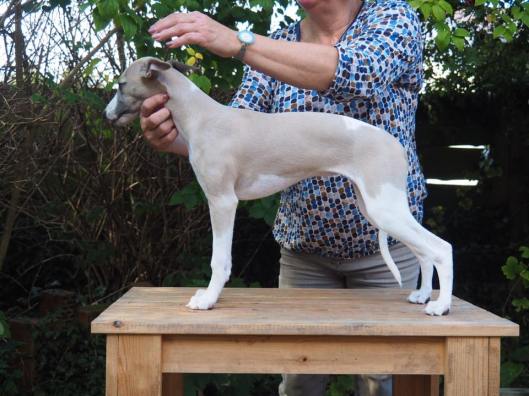 21617752_10214198211169495_5298736535763312378_n