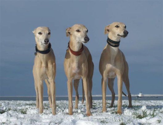 76507_1346763088548_3598126_n