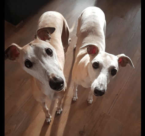 Schermafbeelding 2019-04-27 om 10.52.33