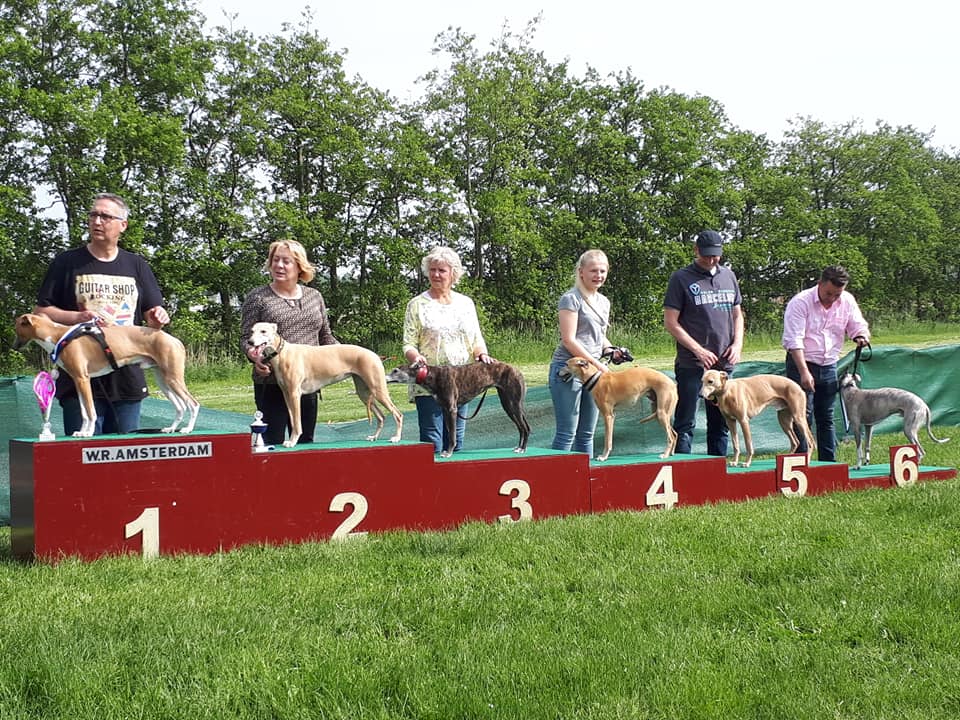 61039028_10211457540953603_1632602169691602944_n