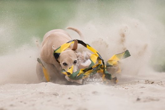 61097789_10211457539313562_7542543715210887168_o