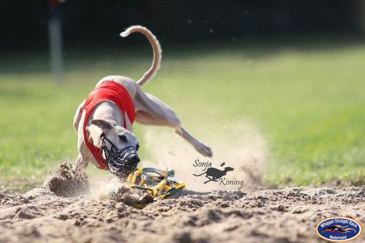 70643072_549390389225860_1691281928444968960_o